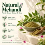 Attachment Details Natural-Mehandi-Benefits-Still-Life